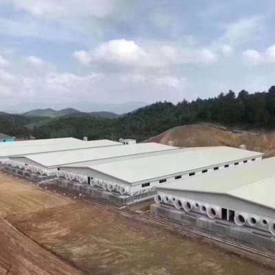 Steel Structure Fabrication Pig House/Chicken Shed/Poultry Farm Using PU/PIR Insulation Sandwich Panel